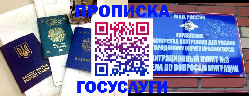 купить прописку в Волхове